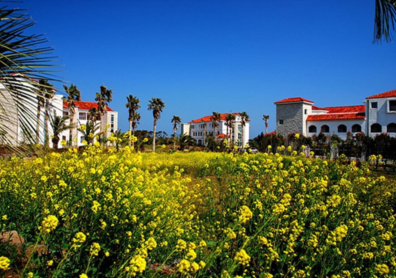 Lasania Resort Sogüpcho Exteriér fotografie