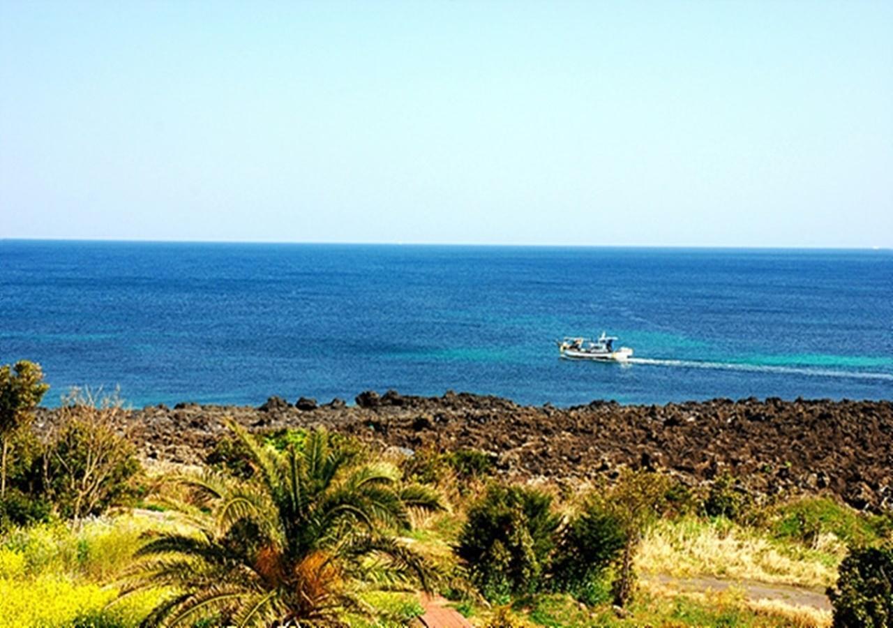 Lasania Resort Sogüpcho Exteriér fotografie